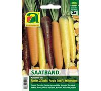 AUSTROSAAT Cinta de Semillas - Trío de Zanahorias - 1 pieza