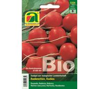 AUSTROSAAT Cinta de Siembra - Rábano 'Wiener Rotes Treib' Bio - 1 paq.