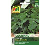 AUSTROSAAT Cinta de Siembra - Rucola "Salatrauke" - 1 paq.