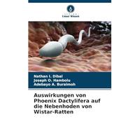 Auswirkungen von Phoenix Dactylifera auf die Nebenhoden von Wistar-Ratten