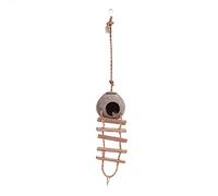 Authentic Coconut Shell Bird Roost | Pet Parrot House with Rope Ladder for Climbing/Playing/Resting | 2 Sizes for Small & Medium Birds (Type 1)