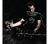 Author & punisher - Ursus americanus