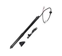 Auto Portón Trasero Para Toyota Para RAV4 2013-2018 6892009010 Amortiguador Puerta Trasera
