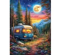 Autocaravana en el bosque por la noche Rompecabezas 300 Piezas Cartón Para Principiantes Cuentos de hadas fantásticos de animales salvajes Días Lluviosos Para Pasar Tiempo Vacaciones Fines De Semana R