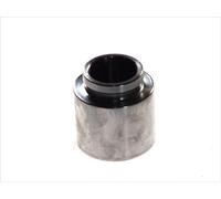 AUTOFREN SEINSA D025223 Émbolo pinza del freno 43mm Acero Compatible con MITSUBISHI OUTLANDER III GGW, GFW, ZJ Lancer VIII Berlina CYA, CZA OUTLANDER I CUW Outlander II SUV CWW