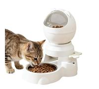 Automático De Gatos Cuenco Grande De Entrenamiento Mental