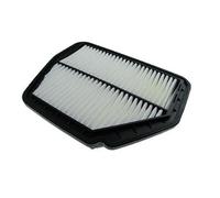 AUTOMEGA 180021610 Filtro de aire Cartucho filtrante Compatible con CHEVROLET CAPTIVA C100, C140, OPEL Antara A L07, VAUXHALL Antara L07