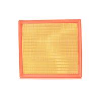 AUTOMEGA 180031810 Filtro de aire Cartucho filtrante Compatible con OPEL Vivaro A Combi X83 Vivaro A Furgón X83, RENAULT TRAFIC II Autobús JL TRAFIC II Furgón FL, NISSAN PRIMASTAR Furgón X83