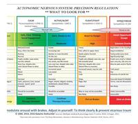 Autonomic Nervous System Table: Laminated Card