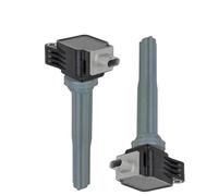 autopartes Compatible Con Lincoln Para Mkt Para Mkz 2013 2014 2015 2016 Paquete De Bobina Encendido Automóvil Bobina De Encendido De Automóvil FT4E-12A366-EA DG546 C1783 0221604700(2 PCS)