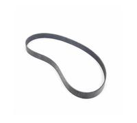 autopartes Correa serpentina 11287628661 8PK1320 compatible con BW 335i, 435i, 535i, 740Li, X3, X4, X5 y X6