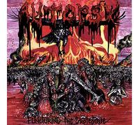 Autopsy - Puncturing The Grotesque [Vinilo]
