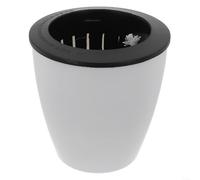 Autorriego de plástico con lavabo exterior de almacenamiento de agua y cuerda de algodón para una entrega eficiente de agua a las plantas del suelo (M)