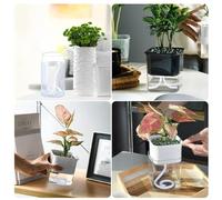 Autorriego eficiente con cuerda de algodón absorbente, plantas de interior (4 mm): 9 m