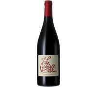 Autour du Cinsault 2024 - Les Vignes Oubliées