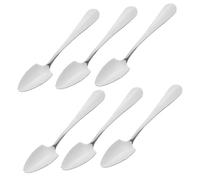 AUTSUPPL 6 piezas Cucharas de Acero Inoxidable con Dentado para Frutas y Helado de Unidades Utensilios Multiusos para Pomelo Kiwi y Postres Mango Antideslizante y Pulido