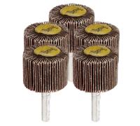 AUTSUPPL Cabezales de Rectificado de Rueda de Aletas Vástago 30x25x6 Mm, Juego de 5 Piezas, Muela Abrasiva para Taladro, Rueda de Pulido y Lijado para Herramientas Rotativas, Accesorios