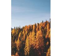 Autumn Mountain Forest Notebook Journal - A4 Lined Notebook, 100 Pages, Cream Paper - Fall Nature Landscape Cover for Writing, School, Work & Journaling
