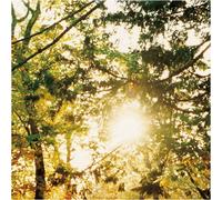 Autumnleaf - Still Have Nothing to Be Sure