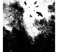 Autumn's Dawn - Autumn's Dawn [Vinilo]