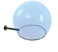 AUXPhome Exercise Ball Accessories