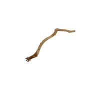 AUYXSSZ Juguete de Percha con Soporte para Pata de Loro de Vid Que fomenta la exploración de Las Aves con soluciones prácticas para posarse. Juguetes para pájaros Loros. Palo