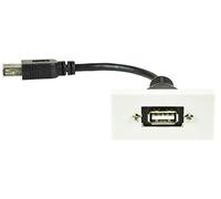AV:Link | Módulo de Placa de Pared - USB2.0 Tipo A Enchufe a Cola Hembra