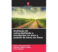Avaliação da vulnerabilidade a inundações na área a jusante da bacia do Mono