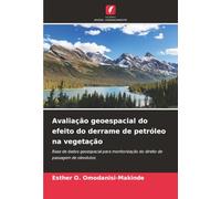 Avaliação geoespacial do efeito do derrame de petróleo na vegetação