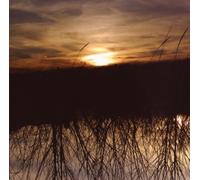 Avalon by Anthony Green (2008-08-05)