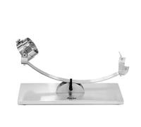 Avalon Jamonero basculante con Cabezal Giratorio de Acero Inoxidable, Soporte para Jamón, Plateado, 50 x 18 x 20,5 cm