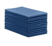 Avalon Towels Toallas quirúrgicas Huck (paquete de 12), tamaño 43 x 66 cm, 100 % algodón, paños de limpieza multiusos perfectos para hospitales y hogar (azul)