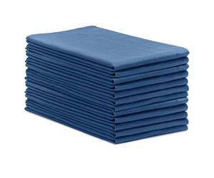 Avalon Towels Toallas quirúrgicas Huck (paquete de 12), tamaño 43 x 66 cm, 100 % algodón, paños de limpieza multiusos perfectos para hospitales y hogar (azul)