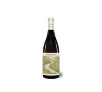 Avancia Cuvee de O 2024