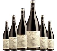 Avancia Cuvée de O Mencía Vino Tinto Joven con Roble, vino español con 13% Vol., ideal para disfrutar entre 14º y 16ºC y descubrir su frescura y carácter| 6 botellas