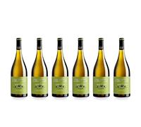 Avancia Godello vino blanco premium selección gourmet - 6 Botellas x 75 cl