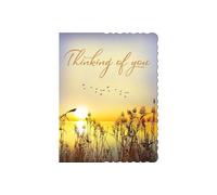 Avant Garde Studios Thinking of You Sunset - 8 x 6