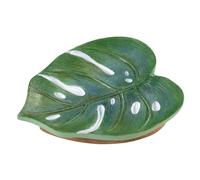 Avanti Linens Soap Dish Countertop Decor Palm Tree Leaves Inspired Home Decor Viva Palm Collection