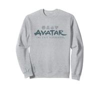 Avatar The Last Airbender Aang Appa and Momo Front Back Sudadera