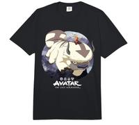 Avatar The Last Airbender Aang Riding Appa Comfort Colors Adult Heavyweight T-Shirt