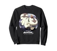Avatar The Last Airbender Aang Riding Appa Sudadera