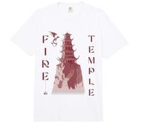 Avatar The Last Airbender Fire Temple Comfort Colors Adult Heavyweight T-Shirt