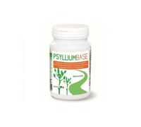 Avd Psyllium Base Polvo 200g