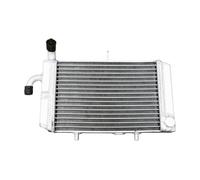 avdb-moto Radiador Agua compatible con YAMAHA XMAX 125 / TECHMAX 2018-2020, XMAX 250 2018-2022, XMAX 400 / TECH MAX 2018-2020, X-MAX 300 / TECHMAX 2017-2025, MBK EVOLIS 300 2017-2018 Tipo Racing