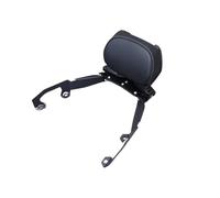 avdb-moto Respaldo de asiento del pasajero/Sissy-Bar compatible con HONDA FORZA NSS 125 2019-2024, FORZA NSS 350 2021-2024 (Acero)