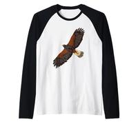 Ave rapaz en vuelo - Desert Buzzard Camiseta Manga Raglan