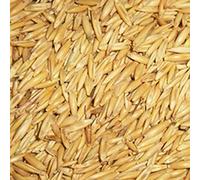 Avena para Animales de Granja. Caballos, Vacas, Aves de Corral, ovejas - Formato 20kg