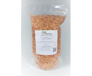 Avena Rubia para sembrar. 1 Kilo. Facilita la digestión de los Gatos eliminando Las molestas Bolas de Pelo.