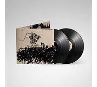 Avenged Sevenfold - Avenged Sevenfold - Life Is But A Dream (2 LP) [Vinilo]