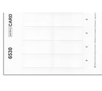 AVERY Zweckform DPC6530A-10 - Lote de 180 tarjetas de inserción (65 x 30 mm, microperforadas finas, para placas polar30), color blanco